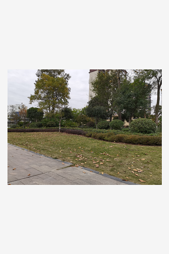 清新自然的户外环境-众图网