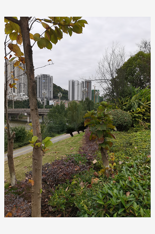 清新自然的户外环境-众图网