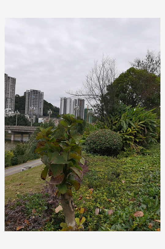 舒适自然的户外环境-众图网