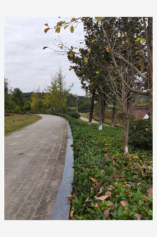 舒适自然的户外环境-众图网