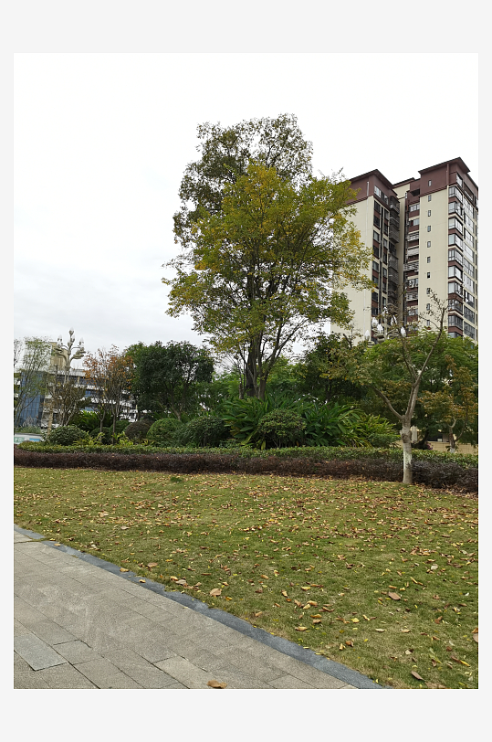 舒适自然的户外环境-众图网