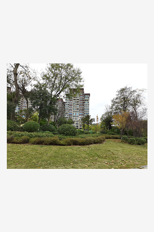 舒适自然的户外环境-众图网