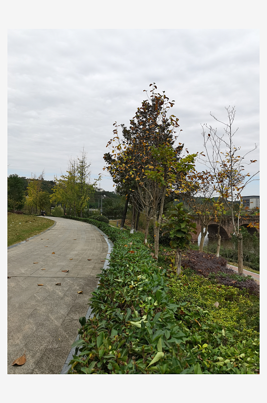 生态自然的户外环境-众图网