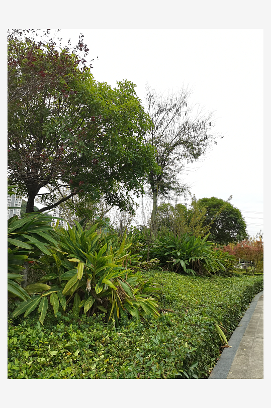 生态自然的户外环境-众图网