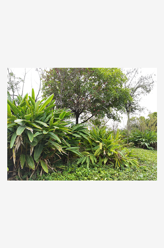 生态自然的户外环境-众图网