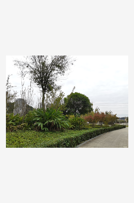 生态自然的户外环境-众图网