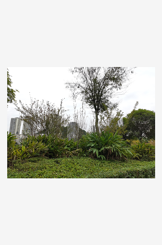 生态自然的户外环境-众图网