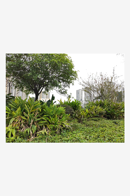 生态自然的户外环境-众图网