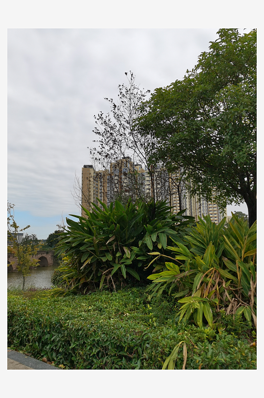 生态自然的户外环境-众图网