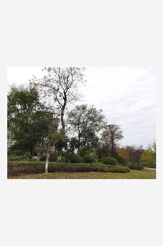 生态自然的户外环境-众图网