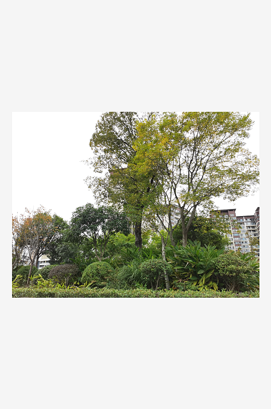 生态自然的户外环境-众图网