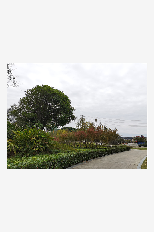 生态自然的户外环境-众图网