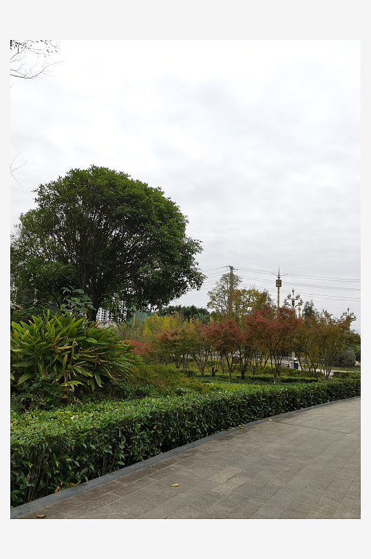 生态自然的户外环境-众图网