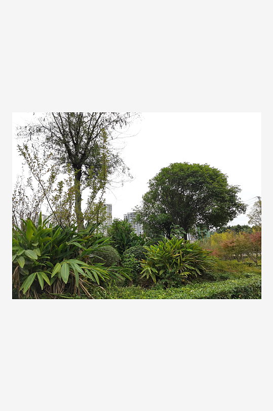 生态自然的户外环境-众图网