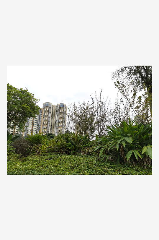 生态自然的户外环境-众图网