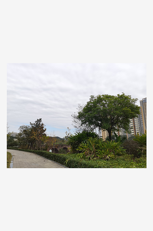 生态自然的户外环境-众图网