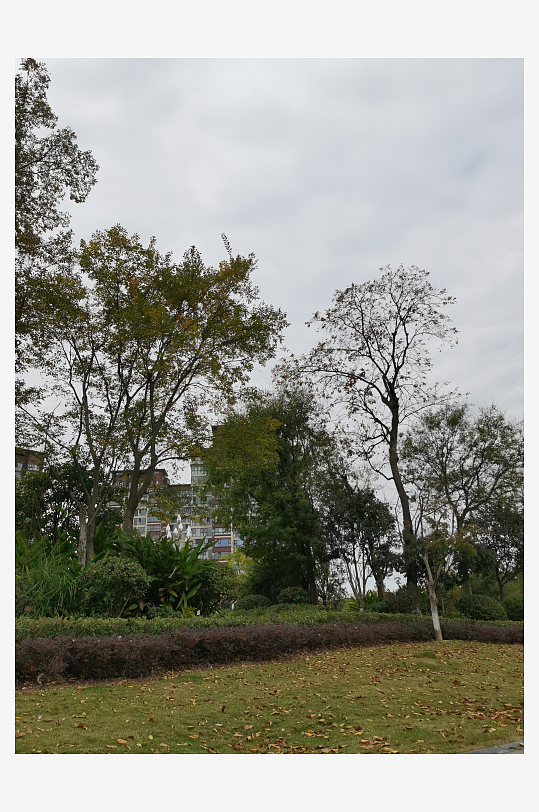 生态自然的户外环境-众图网