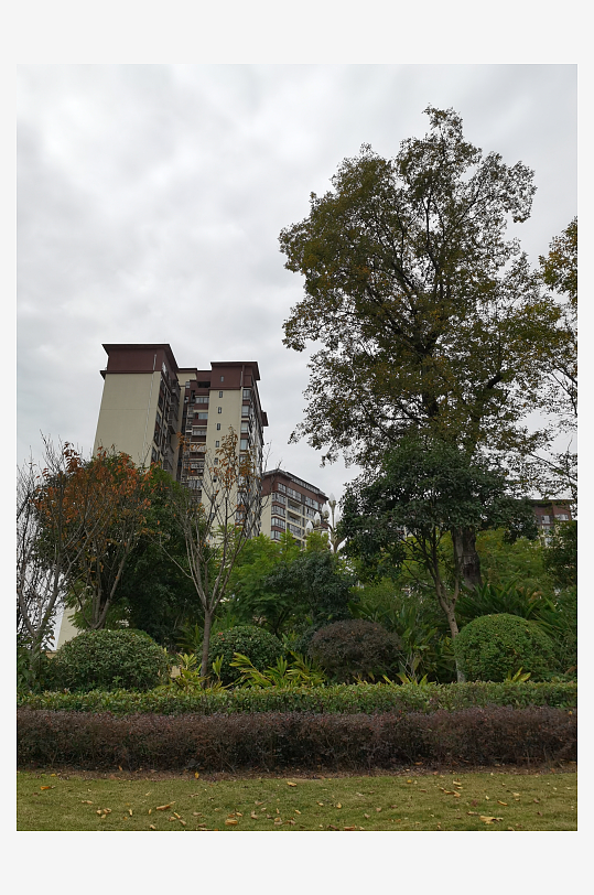 生态自然的户外环境-众图网