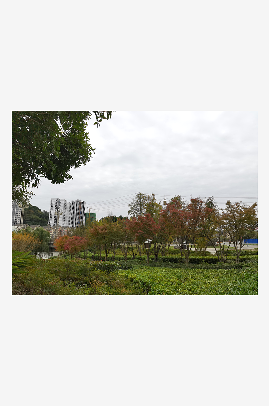 生态自然的休闲公园-众图网