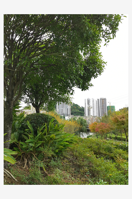 生态自然的休闲公园-众图网