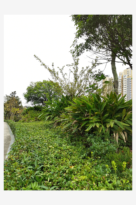 生态自然的休闲公园-众图网