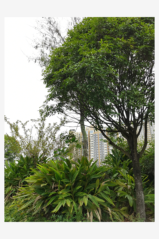 生态自然的休闲公园-众图网