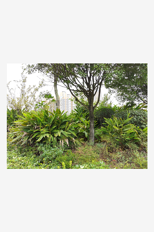 生态自然的休闲公园-众图网