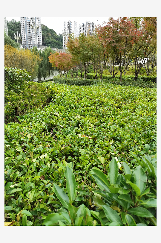 生态自然的休闲公园-众图网