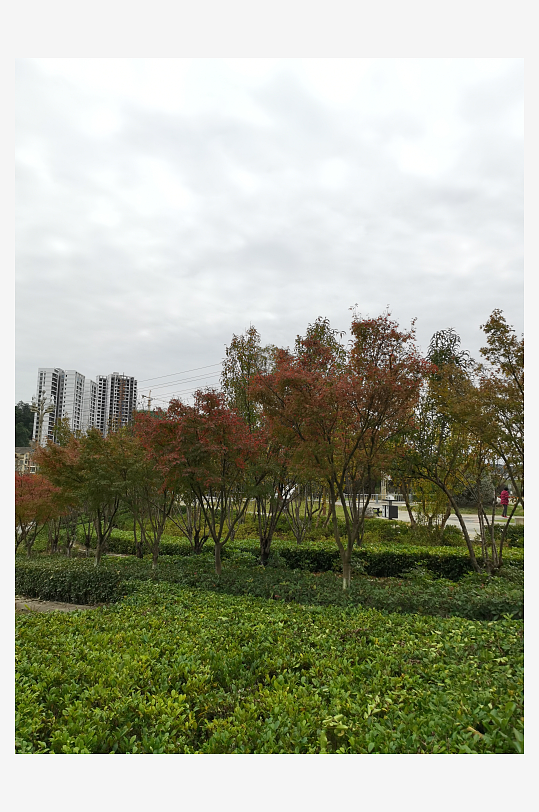 生态自然的休闲公园-众图网