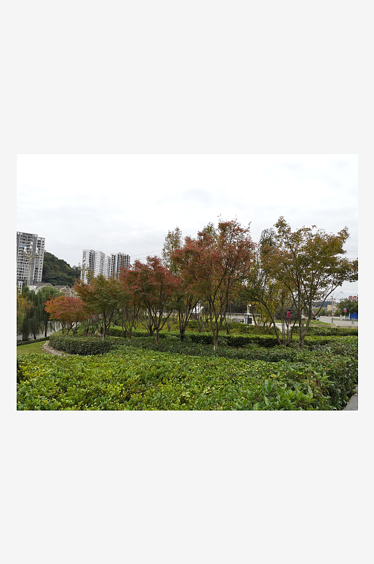 生态自然的休闲公园-众图网