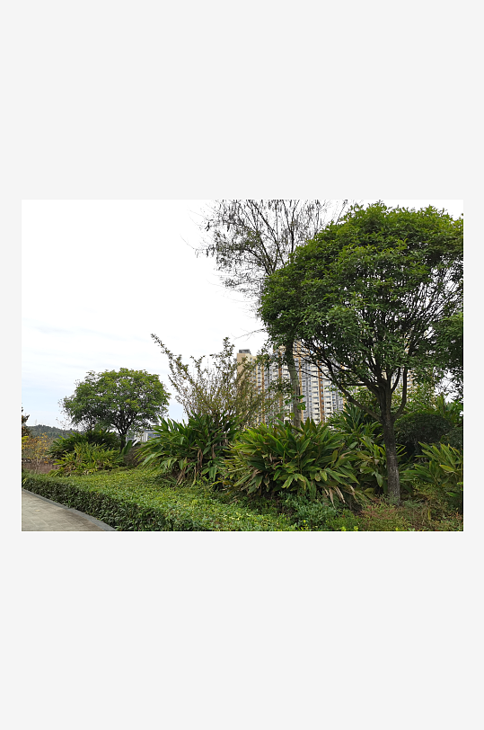 生态自然的休闲公园-众图网