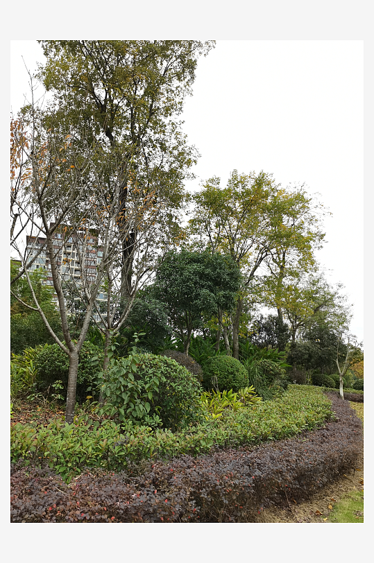 生态自然的生活公园-众图网