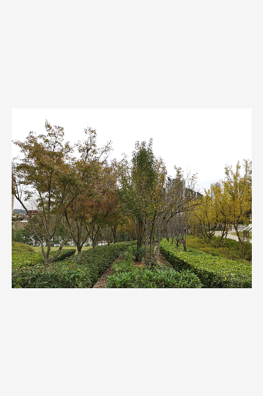 生态自然的生活公园-众图网