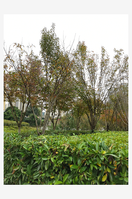 生态自然的生活公园-众图网