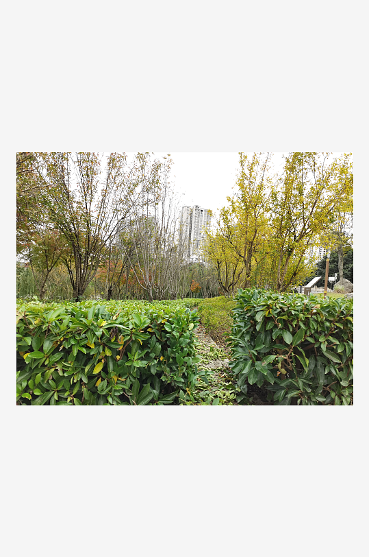 生态自然的生活公园-众图网