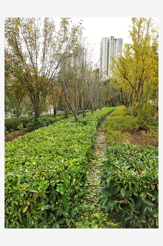 生态自然的生活公园-众图网