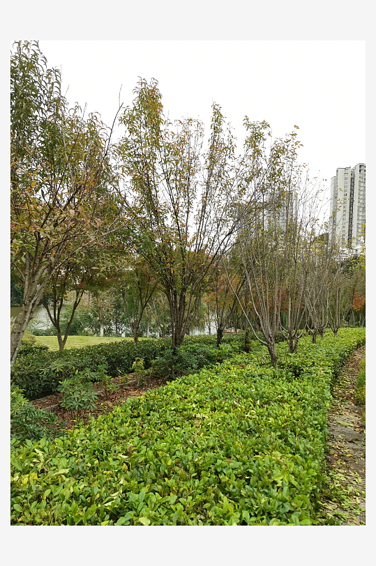 生态自然的生活公园-众图网