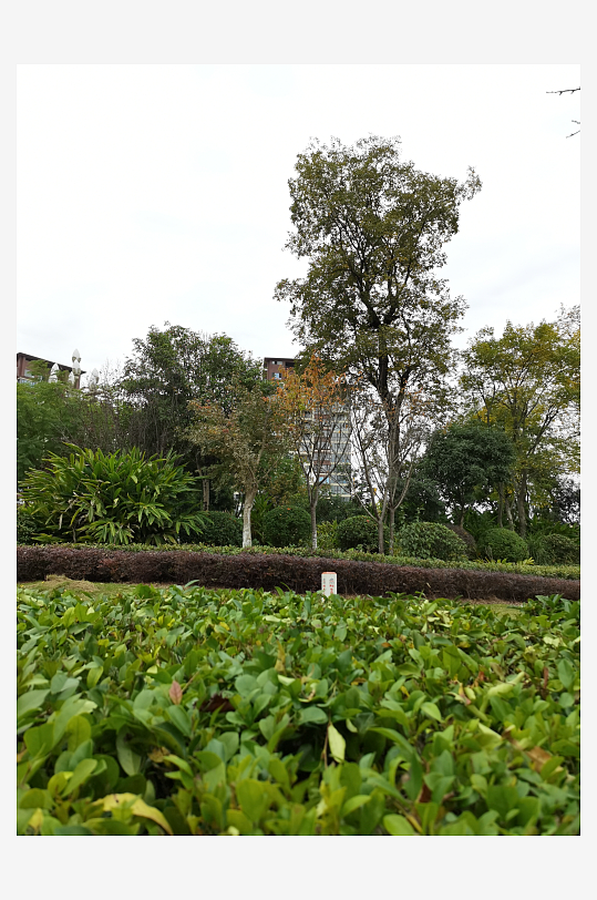 生态自然的生活公园-众图网