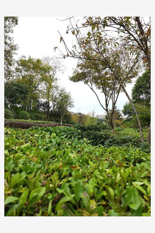 生态自然的生活公园-众图网