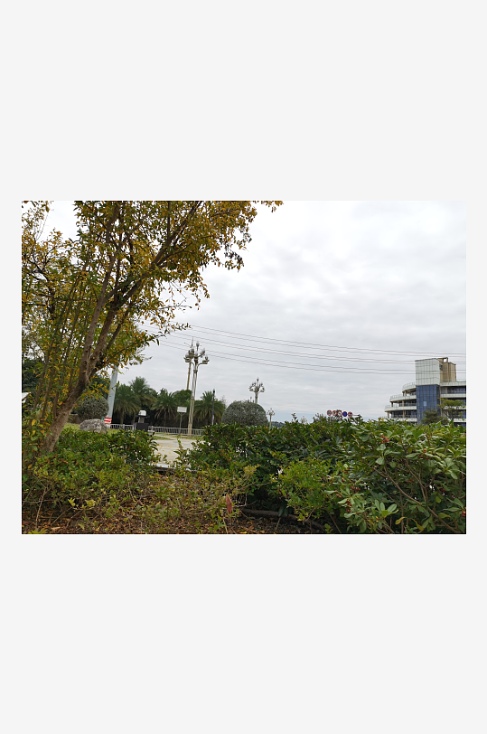 清新自然的生活公园-众图网