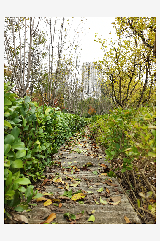 清新自然的生活公园-众图网