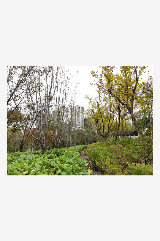 清新自然的生活公园-众图网