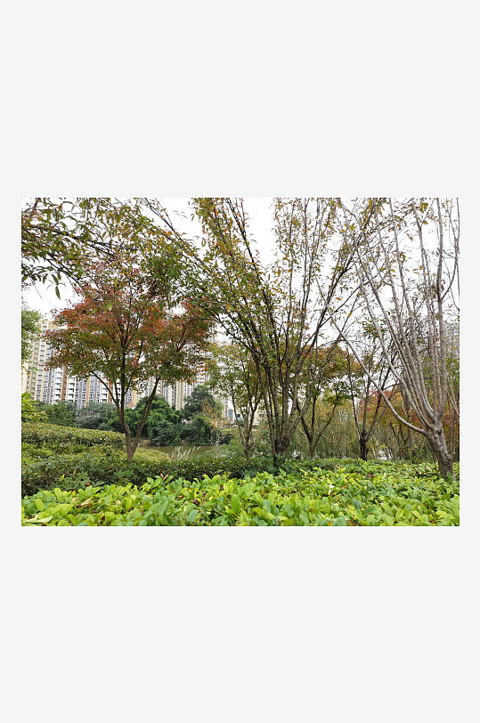 清新自然的生活公园-众图网