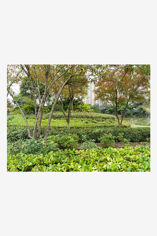 清新自然的生活公园-众图网