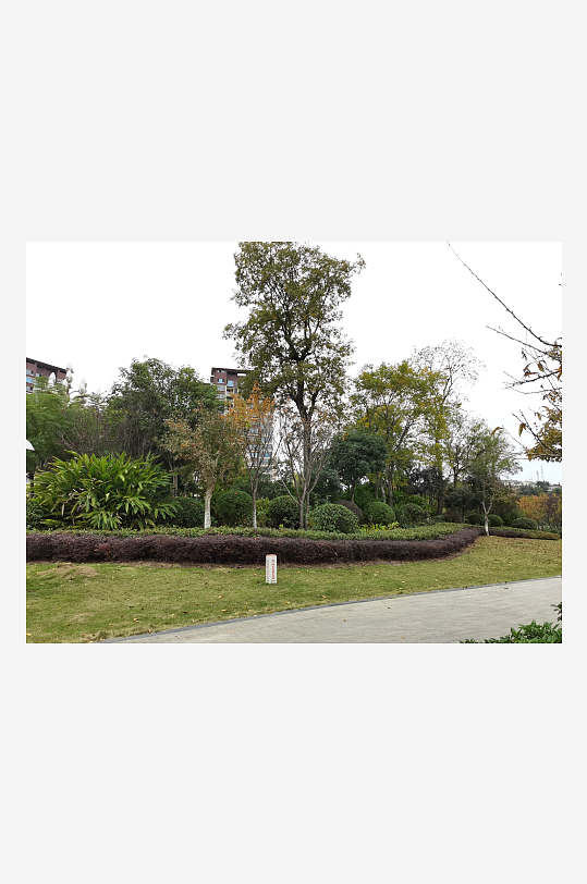 清新自然的生活公园-众图网