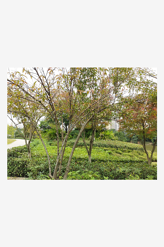 清新自然的生活公园-众图网