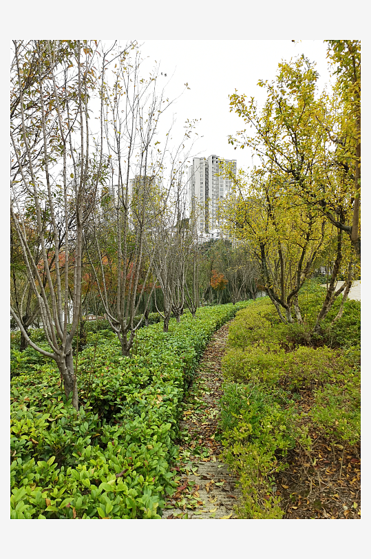 清新自然的生活公园-众图网