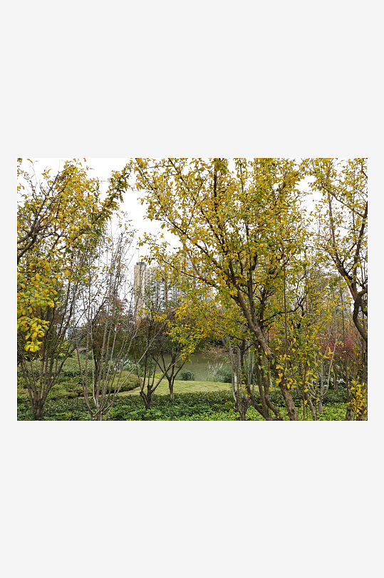 清新自然的生活公园-众图网