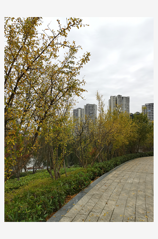 清新自然的生活公园-众图网