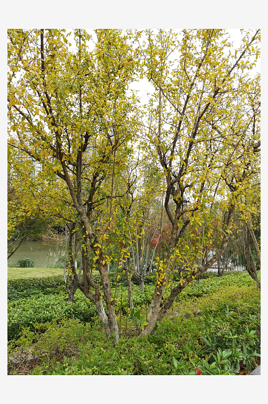 清新自然的生活公园-众图网